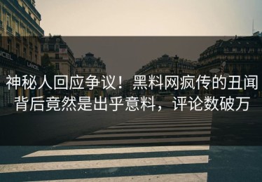 神秘人回应争议！黑料网疯传的丑闻背后竟然是出乎意料，评论数破万