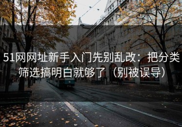 51网网址新手入门先别乱改：把分类筛选搞明白就够了（别被误导）