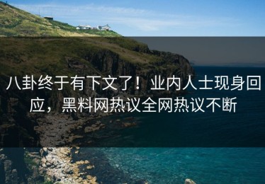 八卦终于有下文了！业内人士现身回应，黑料网热议全网热议不断