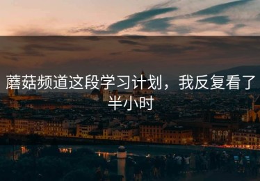 蘑菇频道这段学习计划，我反复看了半小时