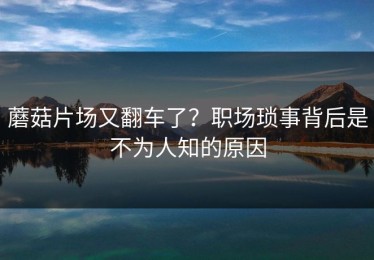 蘑菇片场又翻车了？职场琐事背后是不为人知的原因