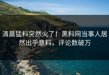 清晨猛料突然火了！黑料网当事人居然出乎意料，评论数破万