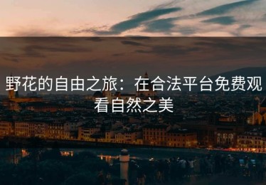野花的自由之旅：在合法平台免费观看自然之美