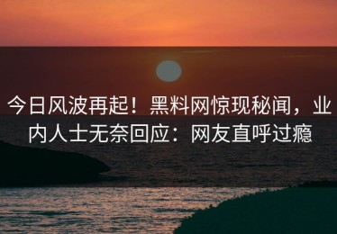 今日风波再起！黑料网惊现秘闻，业内人士无奈回应：网友直呼过瘾