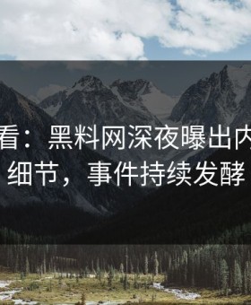限时查看：黑料网深夜曝出内幕震撼细节，事件持续发酵