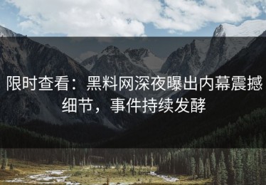 限时查看：黑料网深夜曝出内幕震撼细节，事件持续发酵