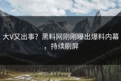 大V又出事？黑料网刚刚曝出爆料内幕，持续刷屏