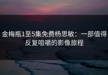 金梅瓶1至5集免费杨思敏：一部值得反复咀嚼的影像旅程