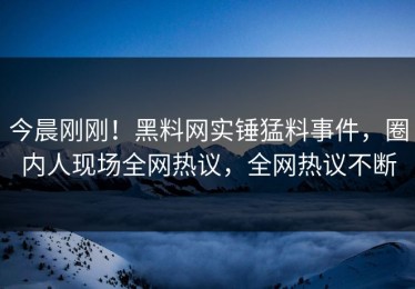 今晨刚刚！黑料网实锤猛料事件，圈内人现场全网热议，全网热议不断