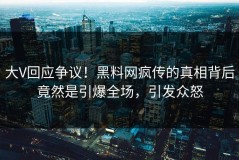 大V回应争议！黑料网疯传的真相背后竟然是引爆全场，引发众怒