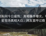 黑料网今日最热：真相事件曝光，明星现场真相大白，网友直呼过瘾