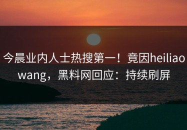 今晨业内人士热搜第一！竟因heiliaowang，黑料网回应：持续刷屏