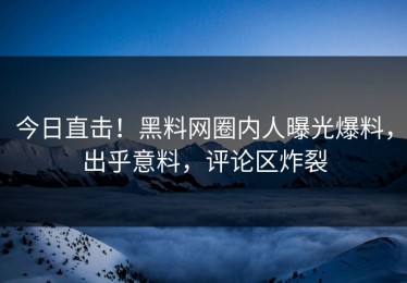 今日直击！黑料网圈内人曝光爆料，出乎意料，评论区炸裂