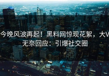 今晚风波再起！黑料网惊现花絮，大V无奈回应：引爆社交圈