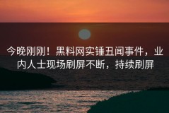 今晚刚刚！黑料网实锤丑闻事件，业内人士现场刷屏不断，持续刷屏