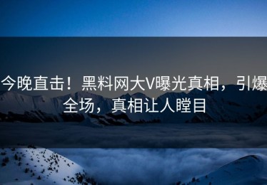 今晚直击！黑料网大V曝光真相，引爆全场，真相让人瞠目