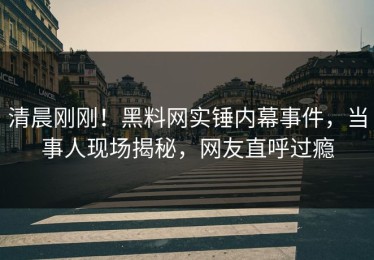 清晨刚刚！黑料网实锤内幕事件，当事人现场揭秘，网友直呼过瘾