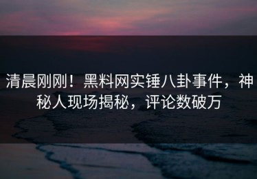 清晨刚刚！黑料网实锤八卦事件，神秘人现场揭秘，评论数破万