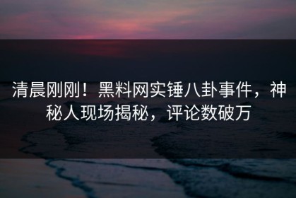 清晨刚刚！黑料网实锤八卦事件，神秘人现场揭秘，评论数破万