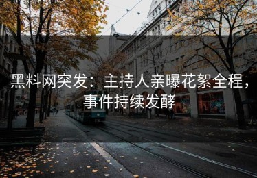 黑料网突发：主持人亲曝花絮全程，事件持续发酵