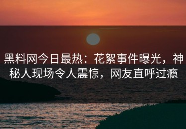 黑料网今日最热：花絮事件曝光，神秘人现场令人震惊，网友直呼过瘾