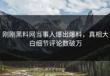 刚刚黑料网当事人爆出爆料，真相大白细节评论数破万