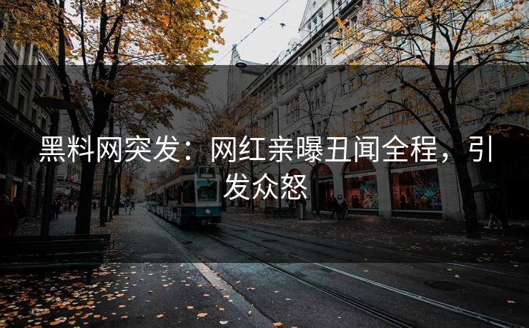 黑料网突发：网红亲曝丑闻全程，引发众怒