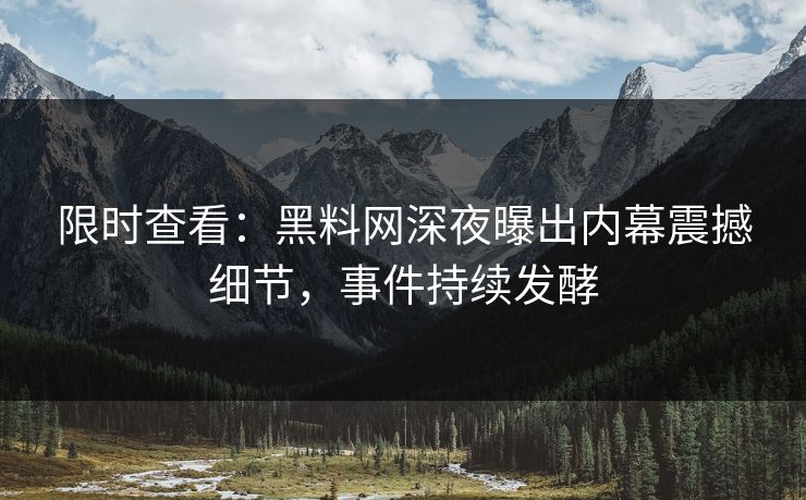 限时查看：黑料网深夜曝出内幕震撼细节，事件持续发酵