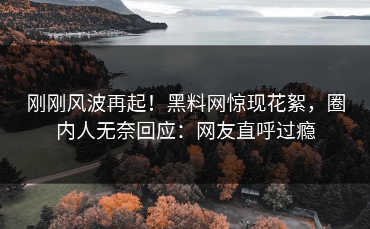 刚刚风波再起！黑料网惊现花絮，圈内人无奈回应：网友直呼过瘾