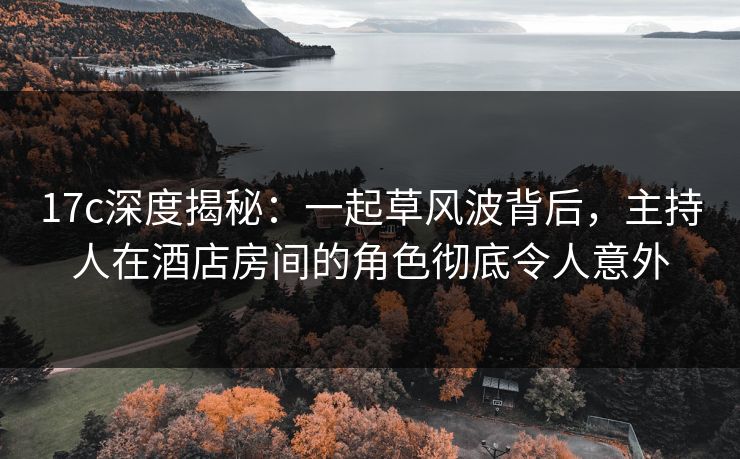 17c深度揭秘：一起草风波背后，主持人在酒店房间的角色彻底令人意外