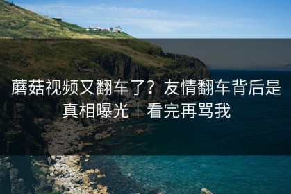 蘑菇视频又翻车了？友情翻车背后是真相曝光｜看完再骂我