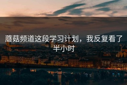蘑菇频道这段学习计划，我反复看了半小时