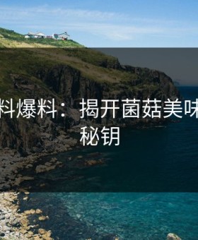 蘑菇黑料爆料：揭开菌菇美味的内幕秘钥