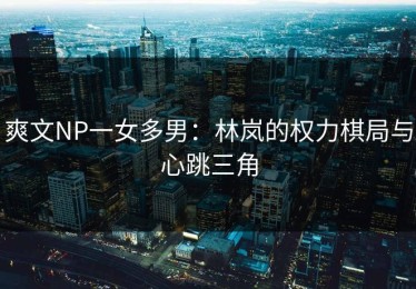 爽文NP一女多男：林岚的权力棋局与心跳三角
