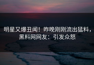 明星又爆丑闻！昨晚刚刚流出猛料，黑料网网友：引发众怒