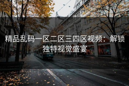 精品乱码一区二区三四区视频：解锁独特视觉盛宴