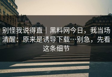 别怪我说得直｜黑料网今日，我当场清醒：原来是诱导下载…别急，先看这条细节