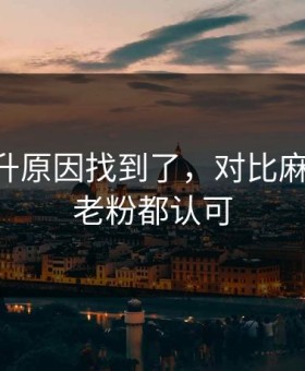 数据飙升原因找到了，对比麻豆APP：老粉都认可