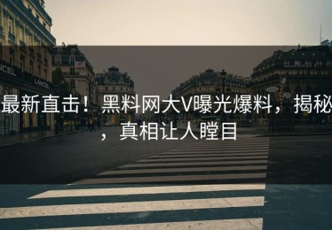 最新直击！黑料网大V曝光爆料，揭秘，真相让人瞠目