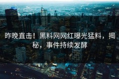 昨晚直击！黑料网网红曝光猛料，揭秘，事件持续发酵