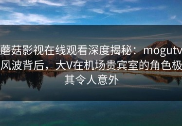 蘑菇影视在线观看深度揭秘：mogutv风波背后，大V在机场贵宾室的角色极其令人意外
