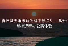 向日葵无限破解免费下载IOS——轻松掌控远程办公新体验