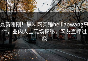 最新刚刚！黑料网实锤heiliaowang事件，业内人士现场揭秘，网友直呼过瘾
