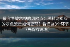 最容易被忽视的风险点：黑料网页版的灰色流量如何变现？看懂这8个环节（先保存再看）