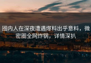 圈内人在深夜遭遇爆料出乎意料，微密圈全网炸锅，详情深扒