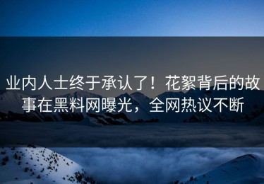业内人士终于承认了！花絮背后的故事在黑料网曝光，全网热议不断