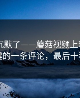 看完我沉默了——蘑菇视频上新了——最关键的一条评论，最后十秒封神
