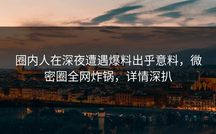圈内人在深夜遭遇爆料出乎意料，微密圈全网炸锅，详情深扒